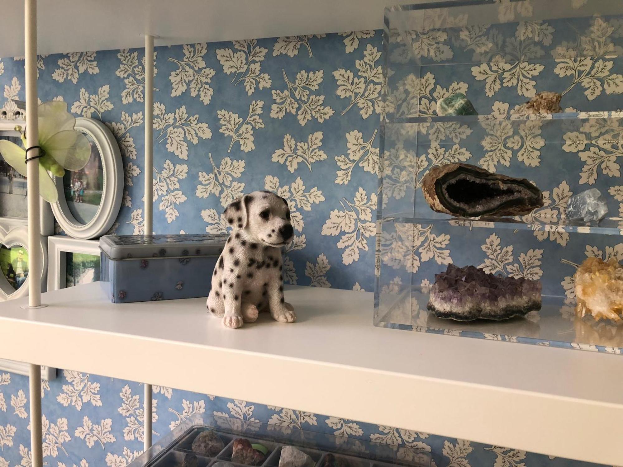 Apartmán La Tana Dei Dalmatini San Benedetto del Tronto Exteriér fotografie