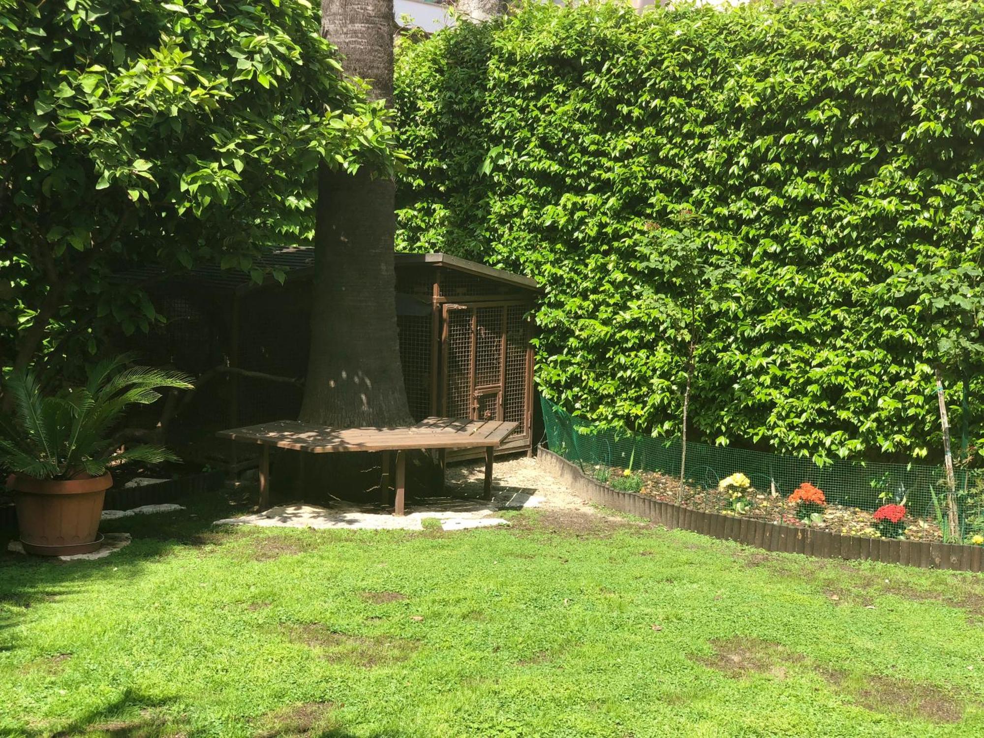 Apartmán La Tana Dei Dalmatini San Benedetto del Tronto Exteriér fotografie